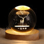 Luminous Star Crystal Ball Lamp - Oracles Bounty